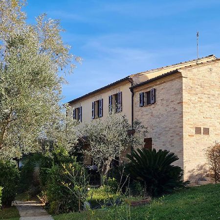 Le Residenze Degli Ulivi Hotell Campofilone Exteriör bild